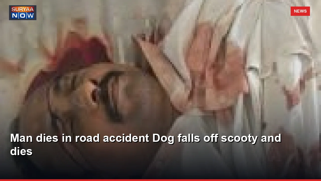 Man dies in road accident Dog falls off scooty and dies