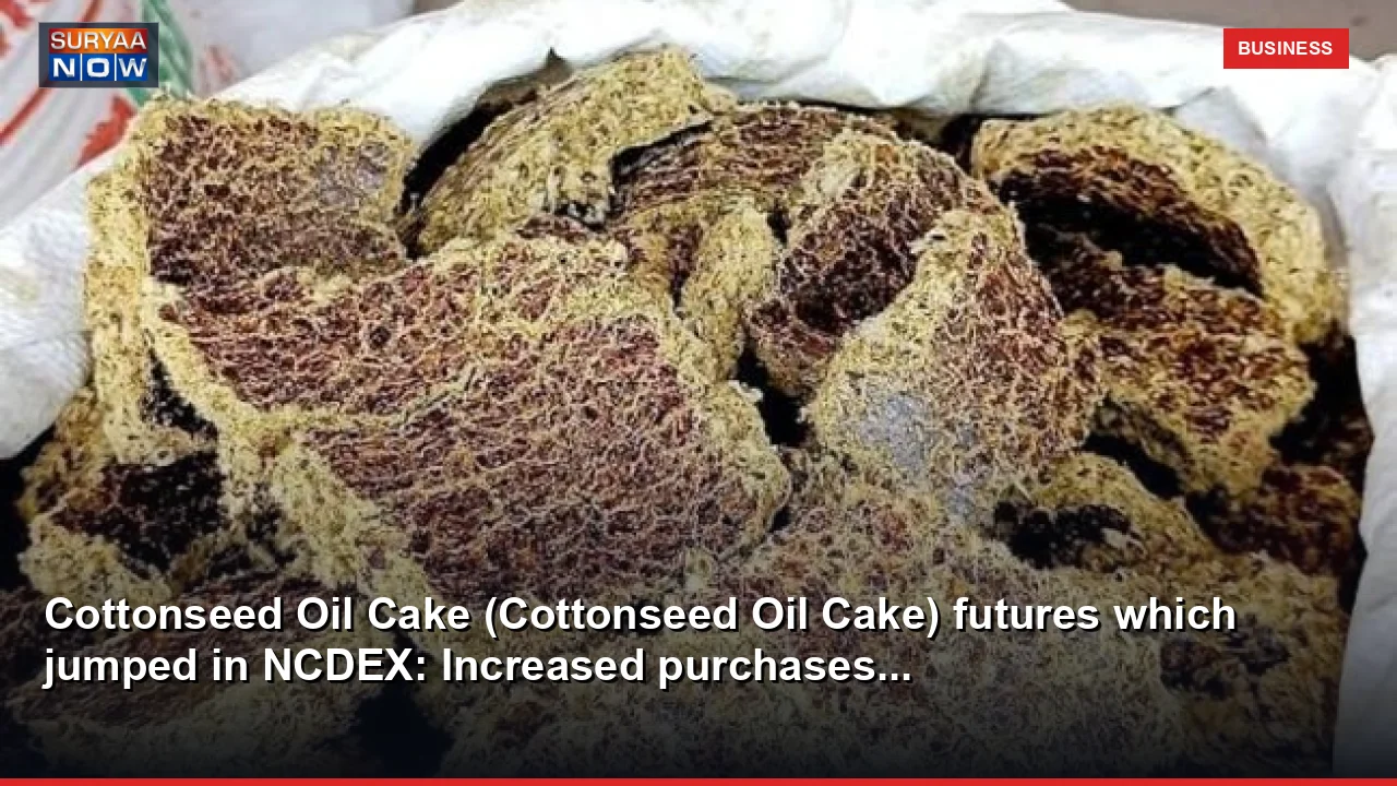 Cottonseed Oil Cake (Cottonseed Oil Cake) futures which jumped in NCDEX: Increased purchases...