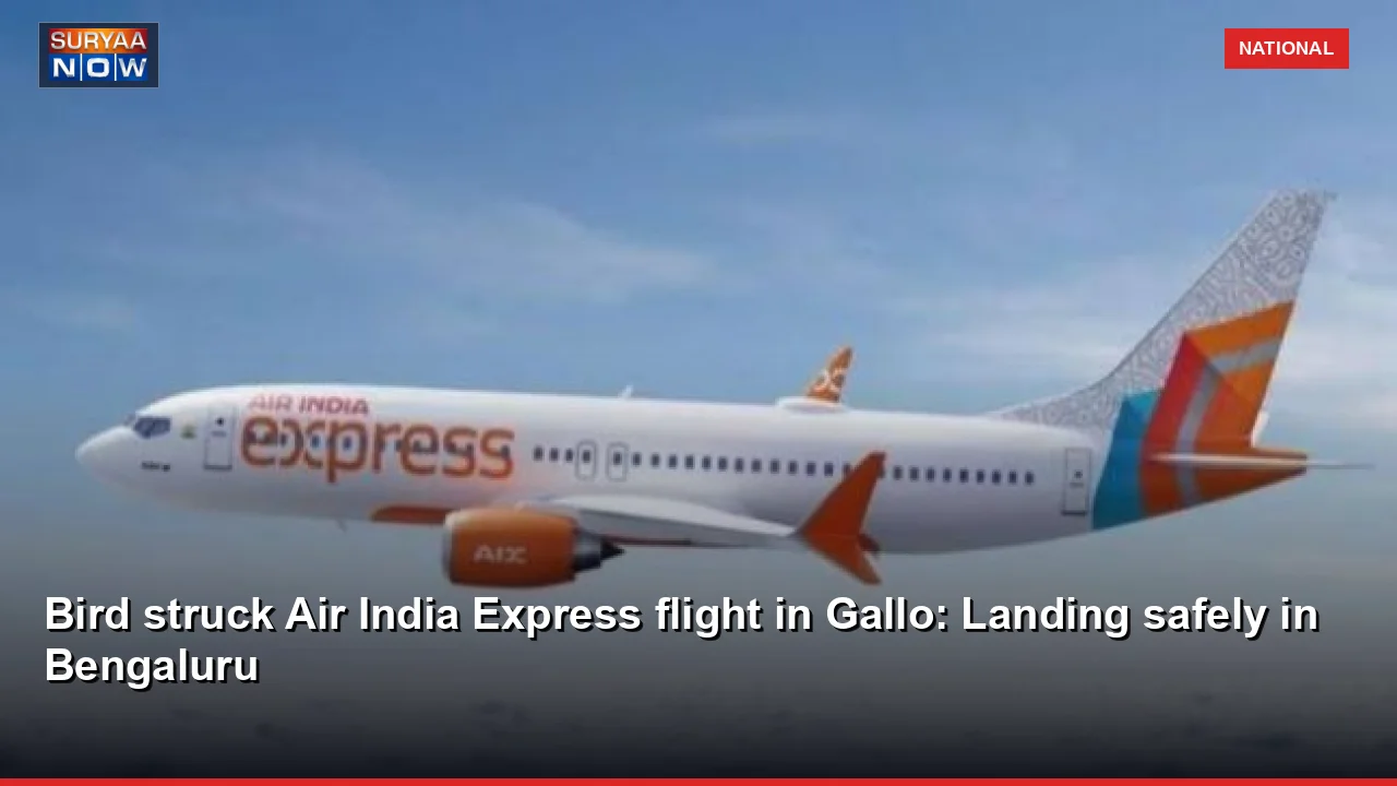 Bird struck Air India Express flight in Gallo: Landing safely in Bengaluru