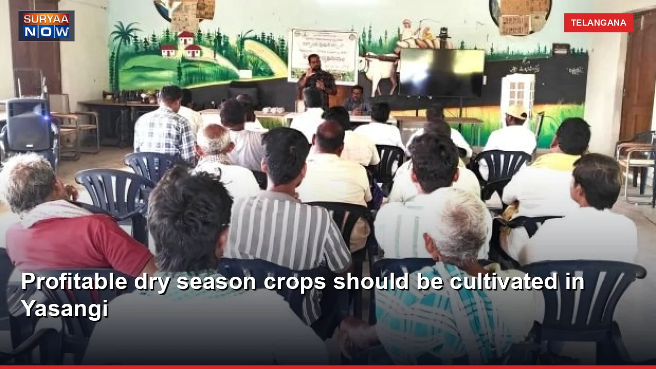 Profitable dry season crops should be cultivated in Yasangi