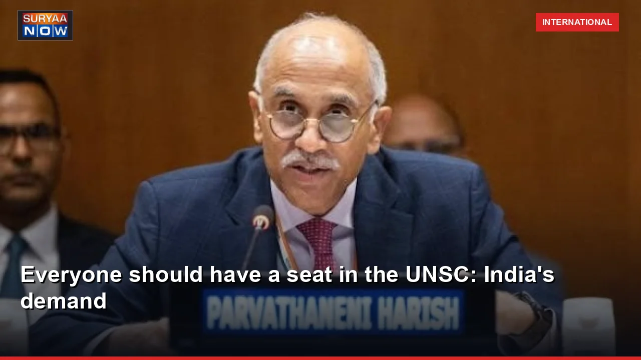 Everyone should have a seat in the UNSC: India's demand