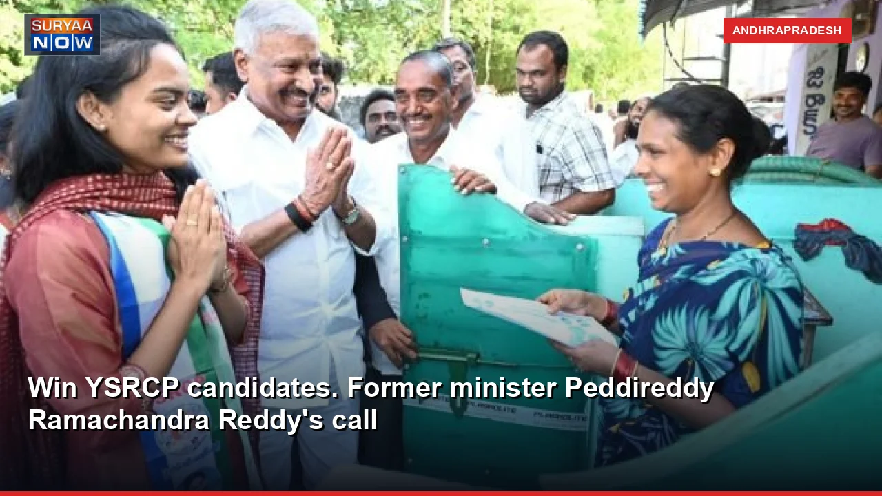 Win YSRCP candidates. Former minister Peddireddy Ramachandra Reddy's call