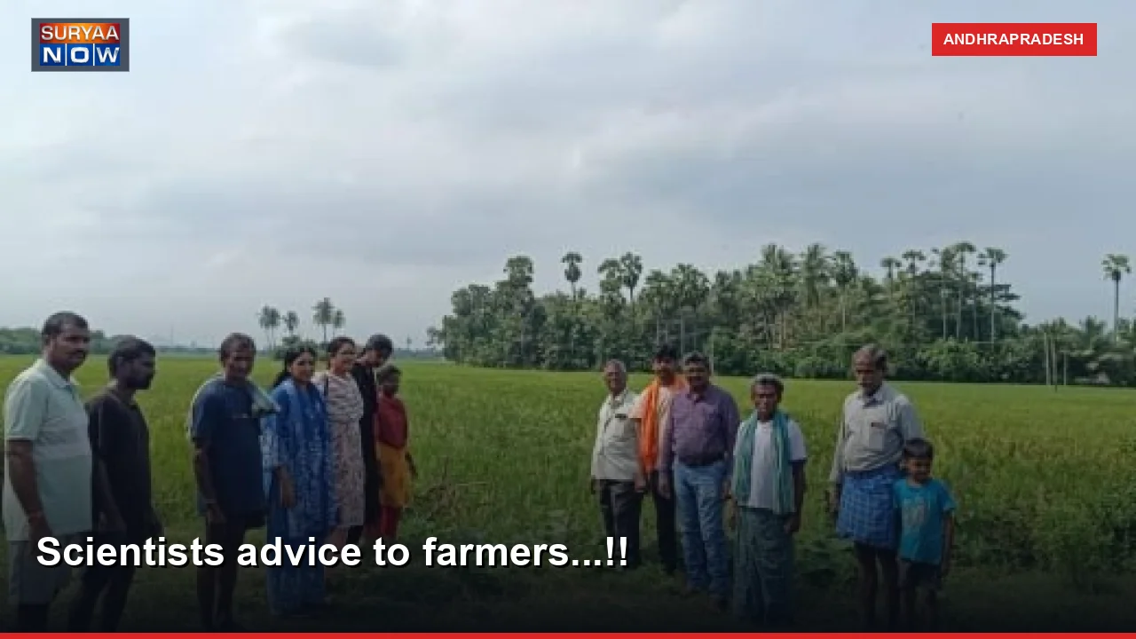 Scientists advice to farmers...!!