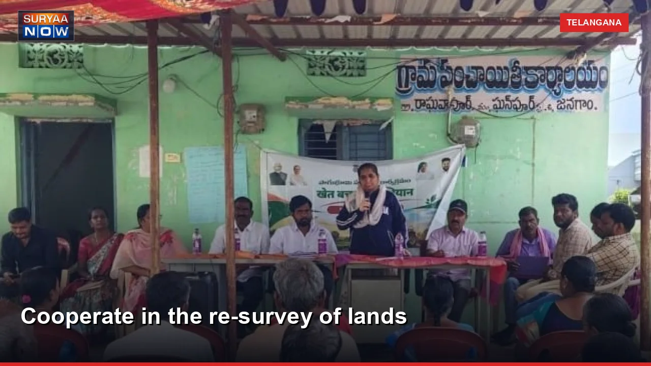 Cooperate in the re-survey of lands