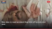 Man dies in road accident Dog falls off scooty and dies