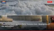 Poisonous foam again in Delhi Yamuna river.. Negligence of the authorities!