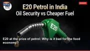 E20 at the price of petrol: Why is it bad for the food economy?