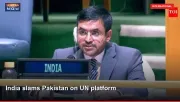 India slams Pakistan on UN platform