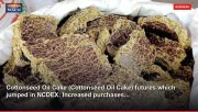 Cottonseed Oil Cake (Cottonseed Oil Cake) futures which jumped in NCDEX: Increased purchases...