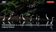 The Netherlands is a major contributor to the conservation of tropical forests