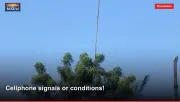 Cellphone signals or conditions!