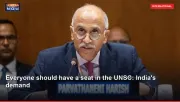 Everyone should have a seat in the UNSC: India's demand
