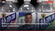 Chinese brands removed from endorsements due to meme controversy