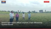 District Agriculture Officer inspects crops affected by Cyclone Arnab*