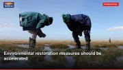 Environmental restoration measures should be accelerated