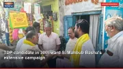 TDP candidate in 30th ward S. Mahbub Basha's extensive campaign