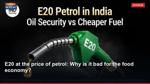E20 at the price of petrol: Why is it bad for the food economy?