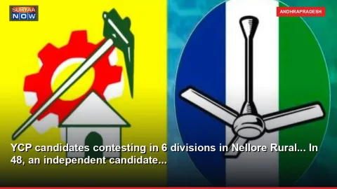 YCP candidates contesting in 6 divisions in Nellore Rural... In 48, an independent candidate...