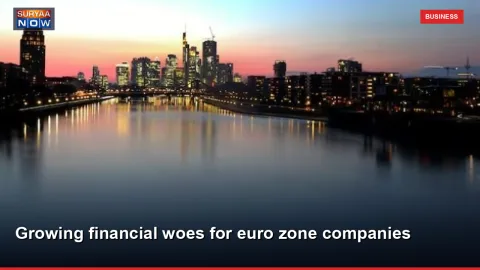 Growing financial woes for euro zone companies