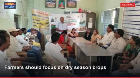 Farmers should focus on dry season crops