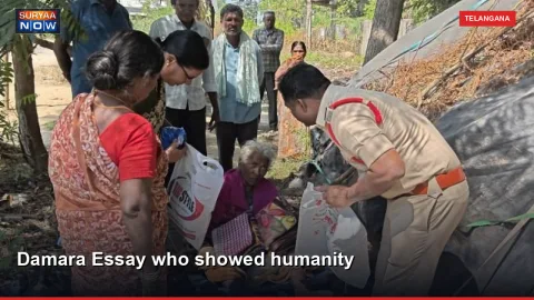 Damara Essay who showed humanity