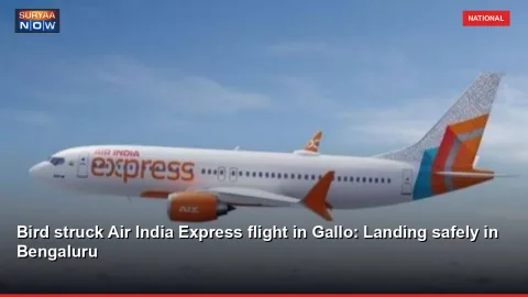 Bird struck Air India Express flight in Gallo: Landing safely in Bengaluru