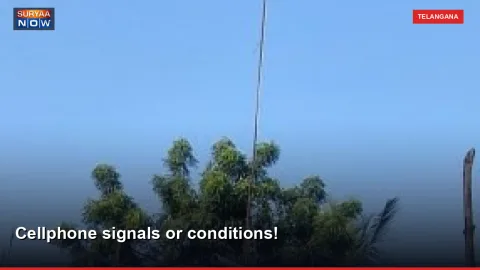 Cellphone signals or conditions!