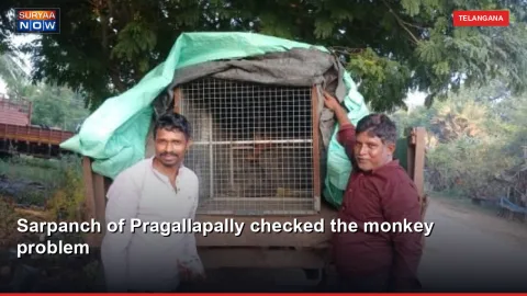 Sarpanch of Pragallapally checked the monkey problem