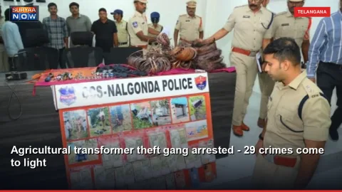 Agricultural transformer theft gang arrested - 29 crimes come to light
