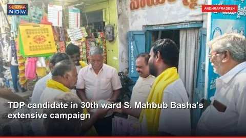 TDP candidate in 30th ward S. Mahbub Basha's extensive campaign