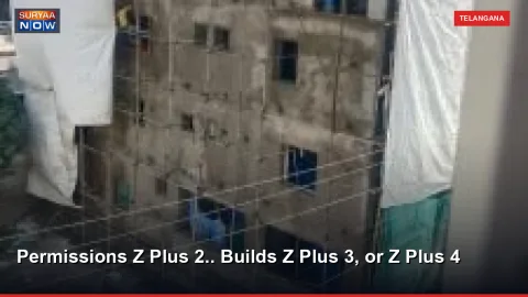 Permissions Z Plus 2.. Builds Z Plus 3, or Z Plus 4