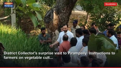 District Collector's surprise visit to Pirampally. Instructions to farmers on vegetable cult...